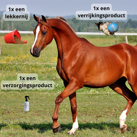 Basis - Verrassingspakket Paard